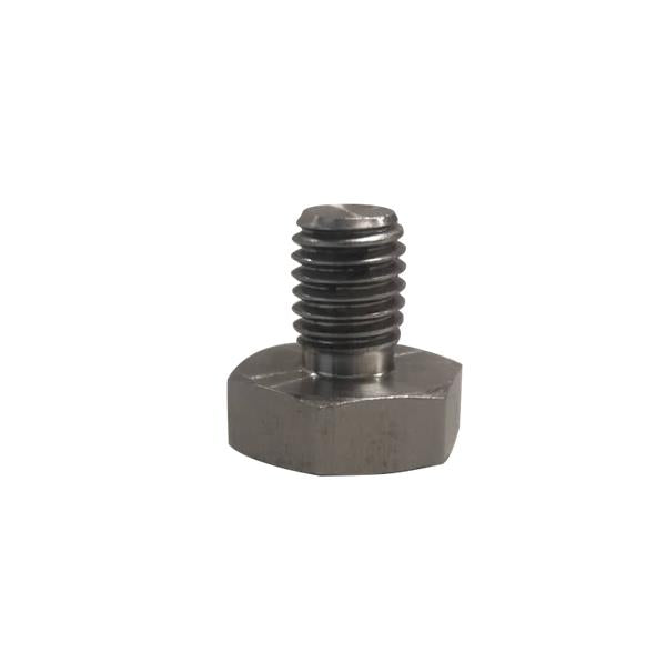 Gepolijste roestvrijstalen wieldop bout