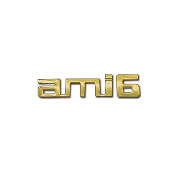 GOUDEN PLASTIC MONOGRAM AMI 6 STICKER